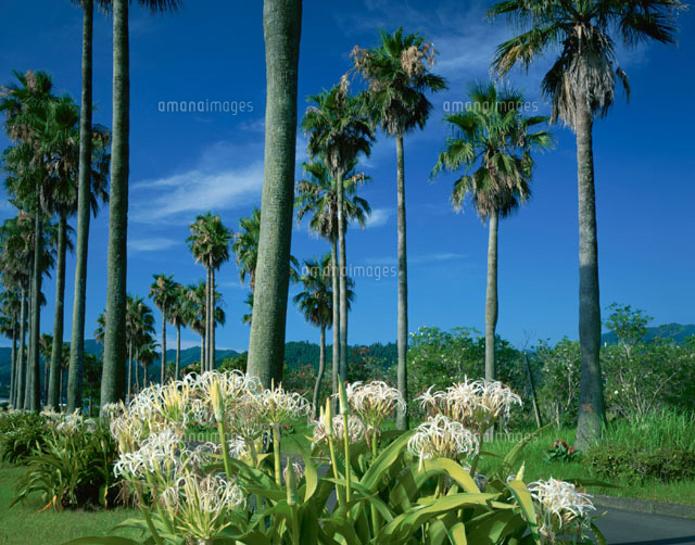 金属加工業をテーマに世界一周“よもやま話” シンガポール、マレーシア,タイ編18話