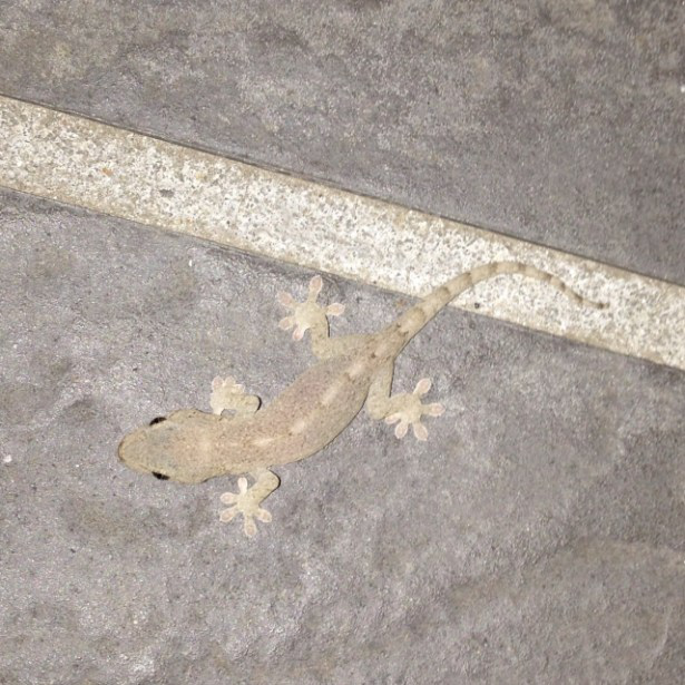 金属加工業をテーマに世界一周“よもやま話”東南アジア編22話