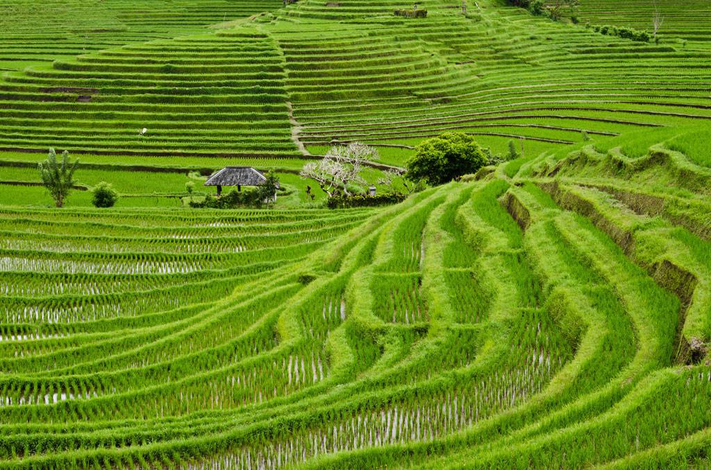 金属加工業をテーマに世界一周“よもやま話”インドネシア編(その４)