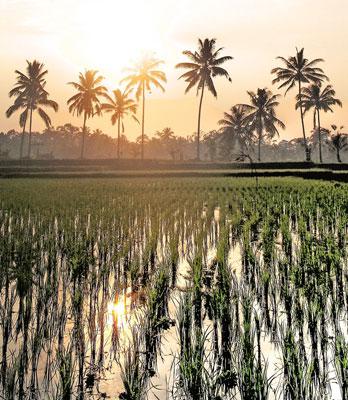 金属加工業をテーマに世界一周“よもやま話”インドネシア編(その５)